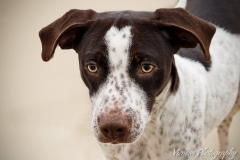 12631419_1719420871623002_8672195550017003091_n