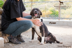 Oliver IMG_0703-960