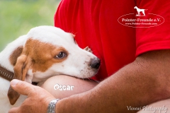 Oscar IMG_0306-960