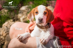 Oscar IMG_0345-960