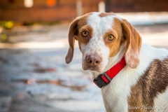 1934258_1708049019426854_1962501610594767615_n