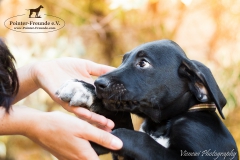 Paris-IMG_8990-960-2