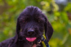 11114090_1689707191261037_3536654621472607040_o