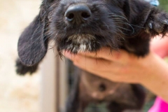 12122756_1689707061261050_4071393000459698617_n