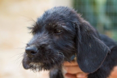 12183724_1689707144594375_8658905485556008601_o