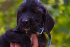 12183944_1689707194594370_4669226045385101668_o