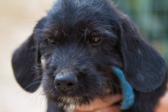 12186385_1689707087927714_3323287770752252745_o