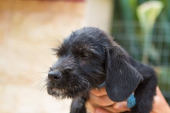 12194764_1689707054594384_3016645167697435381_o