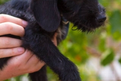 1891030_1689707147927708_8766324593956499167_n