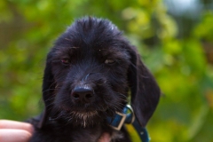 887539_1689707187927704_8026918984949506571_o