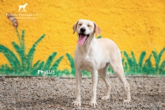 Phyllis IMG_0091-960