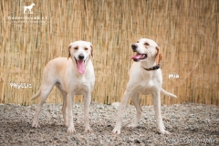 Phyllis and Mia IMG_0113-960