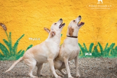 Phyllis and Mia IMG_0141-960