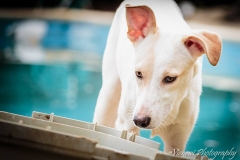 12651005_1719769588254797_1112281549550005530_n