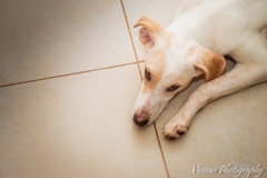 12654411_1719769641588125_3882756490533805543_n