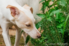 12662003_1719769601588129_2040782261479621735_n