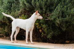 12670136_1719769624921460_6122008735459198231_n