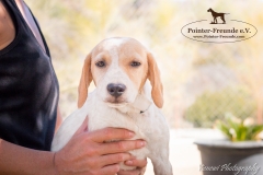 Porthos IMG_0835-960