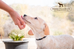 Porthos IMG_0856-960