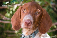 14330167_1816379955260426_6905076341355399631_n