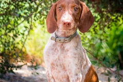 14344160_1816379961927092_8258959838840342227_n