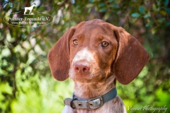 14344190_1816379948593760_3267728819064402169_n