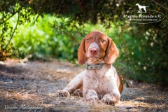 14369921_1816379988593756_8790959654847395188_n