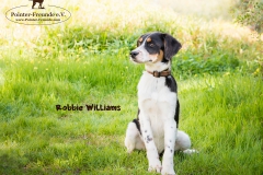 Robbie Williams IMG_3246-960