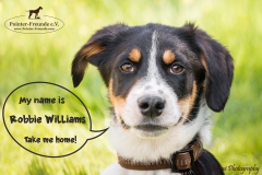 Robbie Williams IMG_3302-960