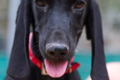 12019881_1681263905438699_8288260594295831677_n