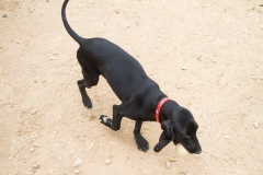 12028884_1681263898772033_9039514741185908380_o