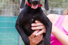 12047083_1681263902105366_1086919629411902414_n