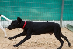 12052389_1681263858772037_7082801289659638503_o