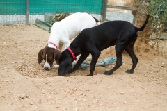 12079797_1681263855438704_6160012598203398781_o