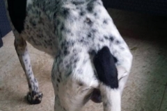 12644752_1717441078487648_7510009237436519633_n