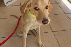 12074598_1683857728512650_7421679683397555754_n