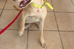 12122404_1683857688512654_6109345210119576570_n