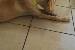 12122932_1683857701845986_8126112001977129313_n