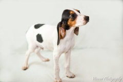 12507243_1710040892561000_195583712373058192_n