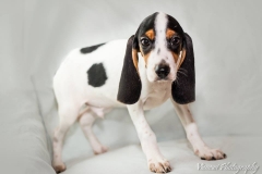 12508763_1710040852561004_9168657857924866418_n