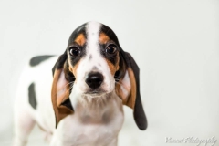 947017_1710040855894337_5986253604262889551_n