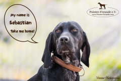 Sebastian IMG_0411-960