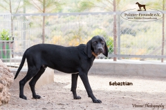 Sebastian IMG_0440-960