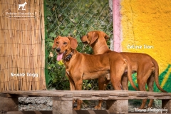 Snoop Dogg IMG_0793-960