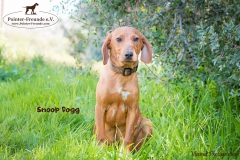 Snoop Dogg IMG_3382-960