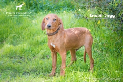 Snoop Dogg IMG_3386-960