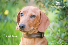 Snoop Dogg IMG_3414-960