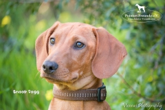 Snoop Dogg IMG_3424-960