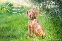 Snoop Dogg IMG_3445-960