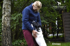 Snoopy6